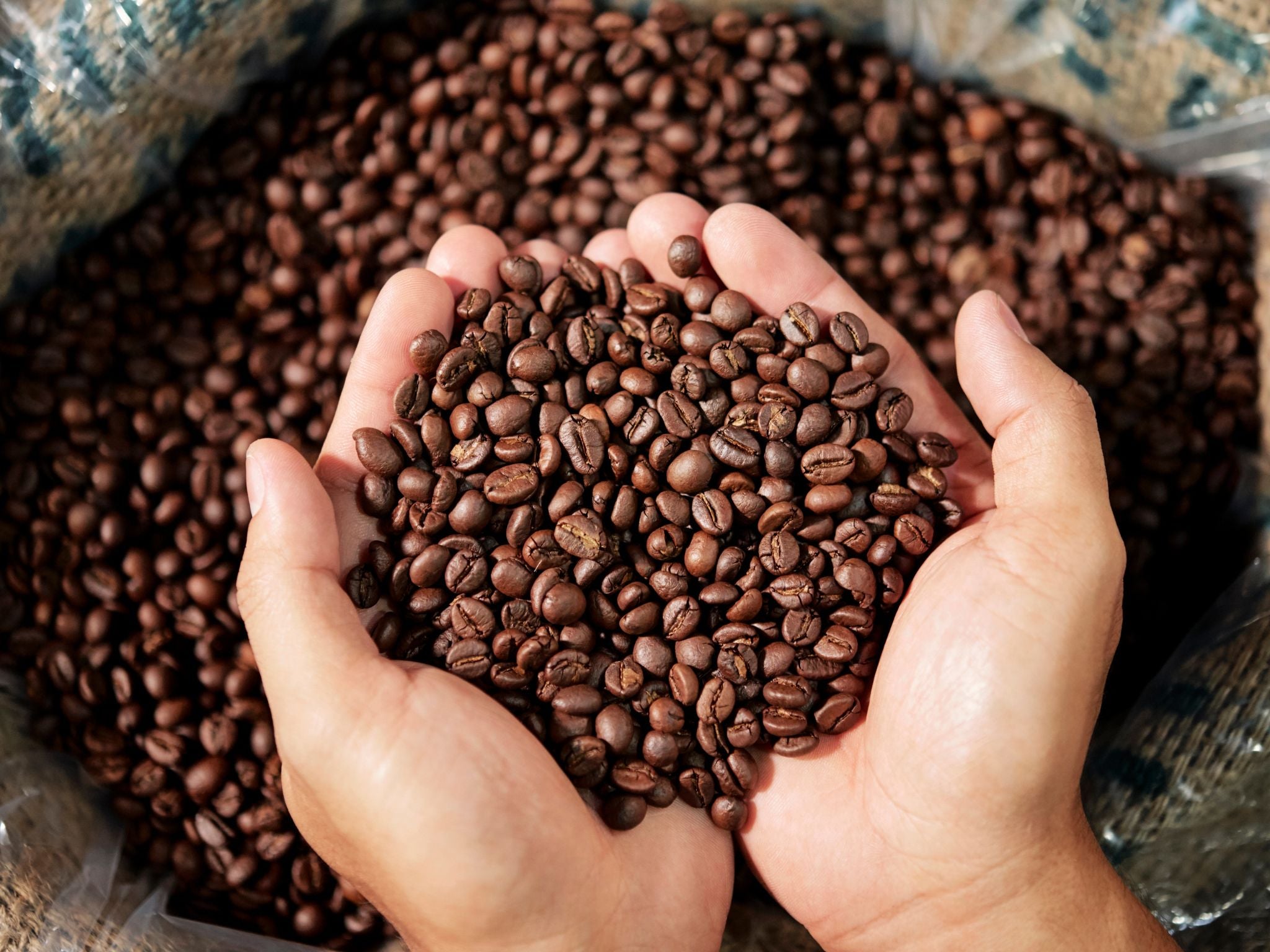 Handful of roasted coffee beans